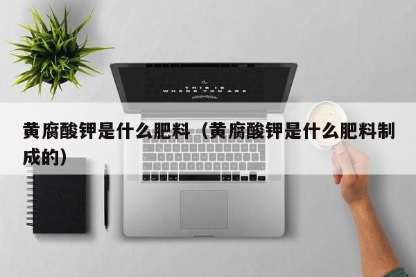 黄腐酸钾是什么肥料（黄腐酸钾是什么肥料制成的）