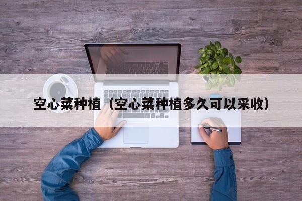 空心菜种植（空心菜种植多久可以采收）