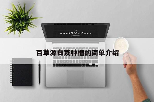 百草源白芨种植的简单介绍