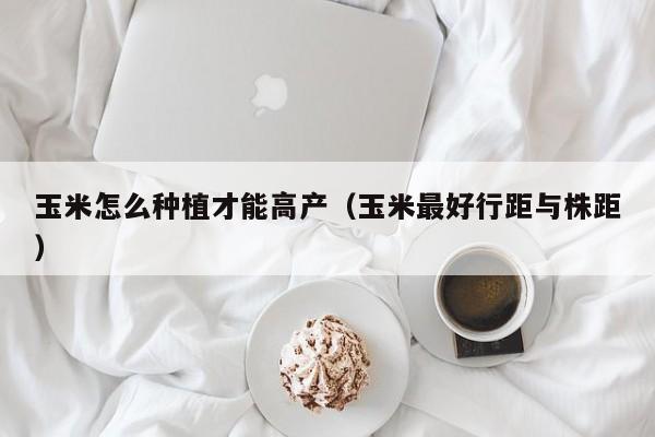 玉米怎么种植才能高产（玉米最好行距与株距）