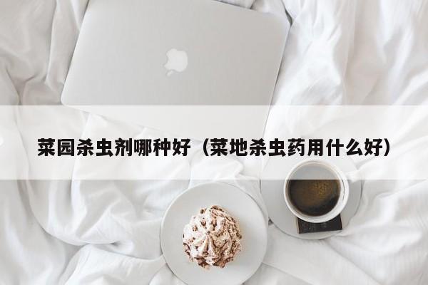 菜园杀虫剂哪种好（菜地杀虫药用什么好）