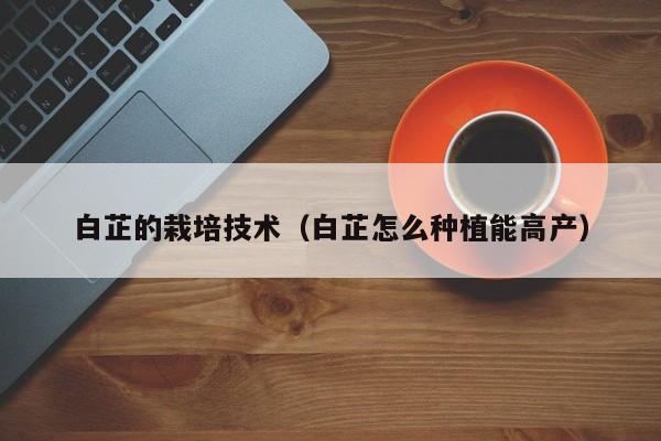 白芷的栽培技术（白芷怎么种植能高产）