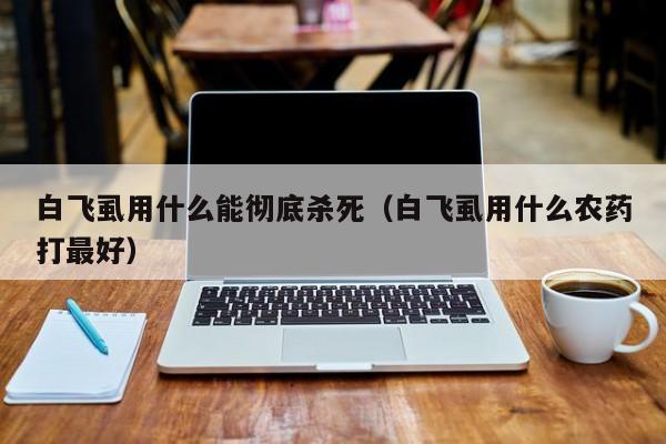 白飞虱用什么能彻底杀死（白飞虱用什么农药打最好）