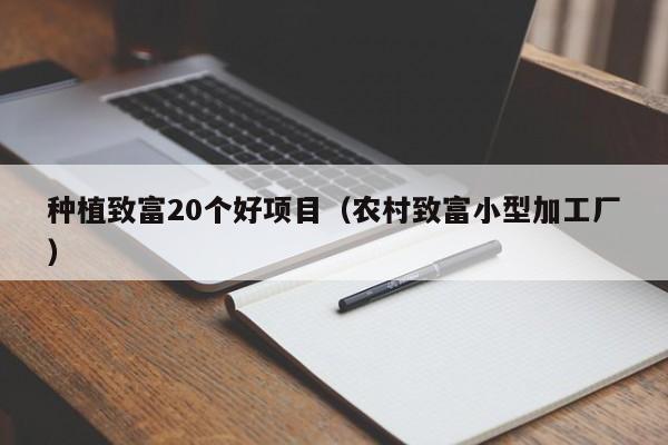 种植致富20个好项目（农村致富小型加工厂）