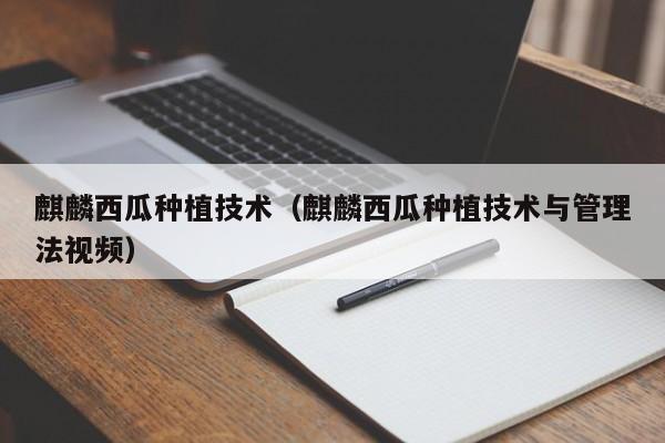 麒麟西瓜种植技术（麒麟西瓜种植技术与管理法视频）