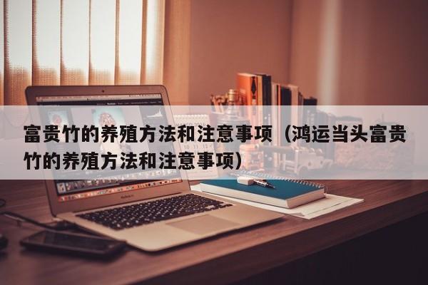 富贵竹的养殖方法和注意事项（鸿运当头富贵竹的养殖方法和注意事项）