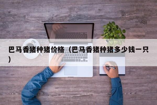 巴马香猪种猪价格（巴马香猪种猪多少钱一只）