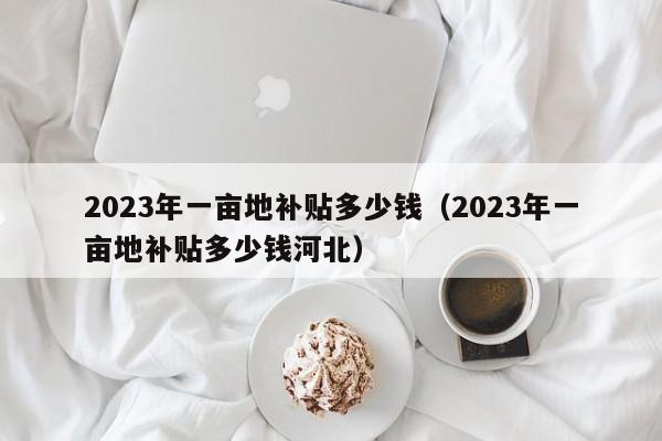 2023年一亩地补贴多少钱（2023年一亩地补贴多少钱河北）
