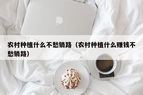 农村种植什么不愁销路（农村种植什么赚钱不愁销路）