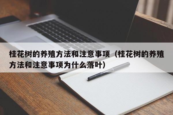桂花树的养殖方法和注意事项（桂花树的养殖方法和注意事项为什么落叶）