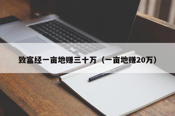 致富经一亩地赚三十万（一亩地赚20万）