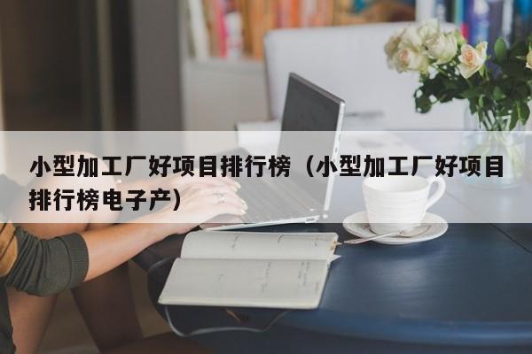 小型加工厂好项目排行榜（小型加工厂好项目排行榜电子产）