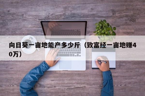 向日葵一亩地能产多少斤（致富经一亩地赚40万）