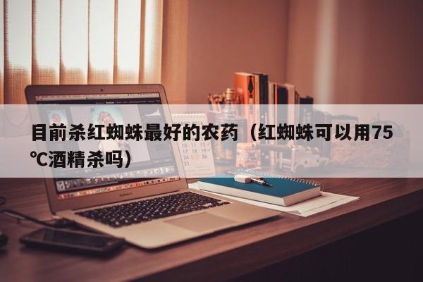 目前杀红蜘蛛最好的农药（红蜘蛛可以用75℃酒精杀吗）