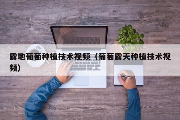 露地葡萄种植技术视频（葡萄露天种植技术视频）