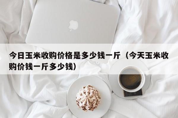今日玉米收购价格是多少钱一斤（今天玉米收购价钱一斤多少钱）