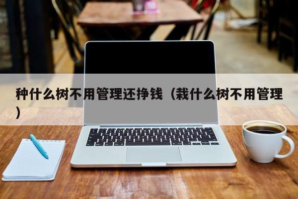 种什么树不用管理还挣钱（栽什么树不用管理）