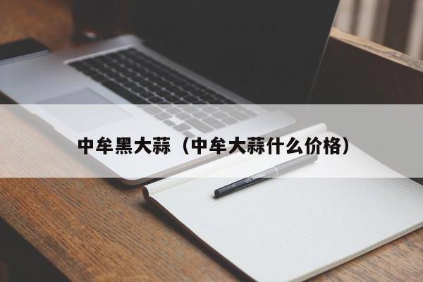中牟黑大蒜（中牟大蒜什么价格）