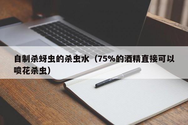 自制杀蚜虫的杀虫水（75%的酒精直接可以喷花杀虫）