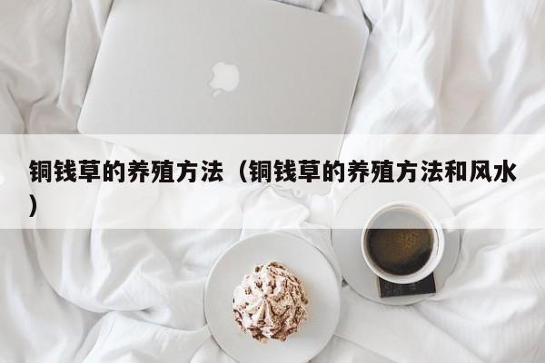铜钱草的养殖方法（铜钱草的养殖方法和风水）