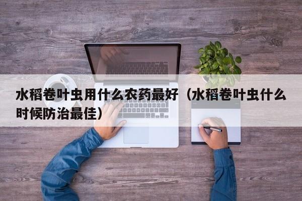 水稻卷叶虫用什么农药最好（水稻卷叶虫什么时候防治最佳）