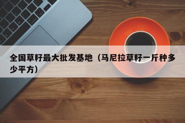 全国草籽最大批发基地（马尼拉草籽一斤种多少平方）