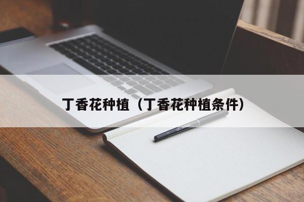 丁香花种植（丁香花种植条件）