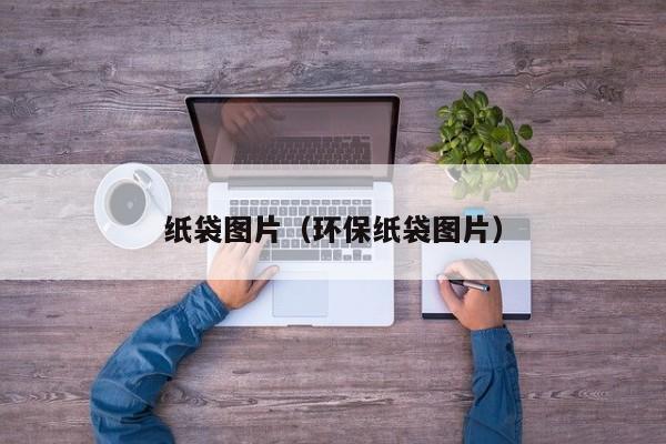 纸袋图片（环保纸袋图片）