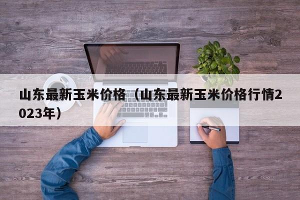 山东最新玉米价格（山东最新玉米价格行情2023年）