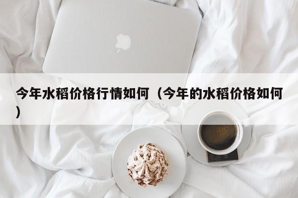 今年水稻价格行情如何（今年的水稻价格如何）