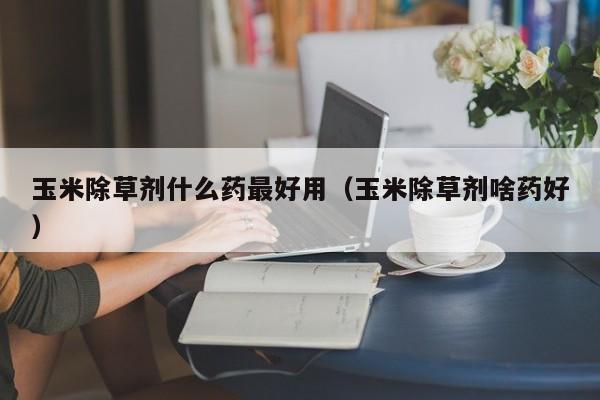 玉米除草剂什么药最好用（玉米除草剂啥药好）