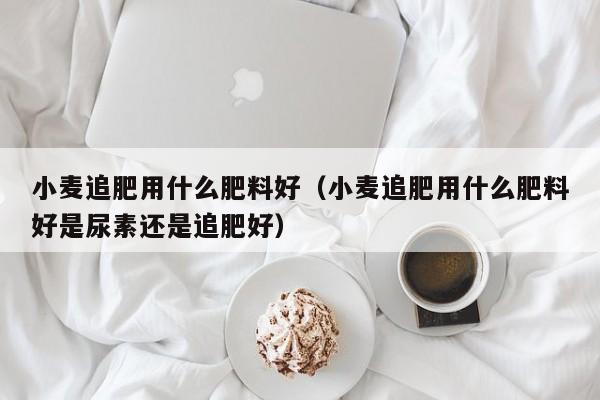 小麦追肥用什么肥料好（小麦追肥用什么肥料好是尿素还是追肥好）