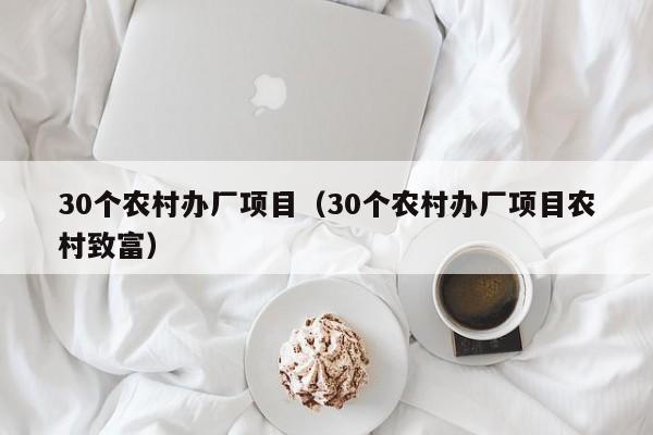 30个农村办厂项目（30个农村办厂项目农村致富）