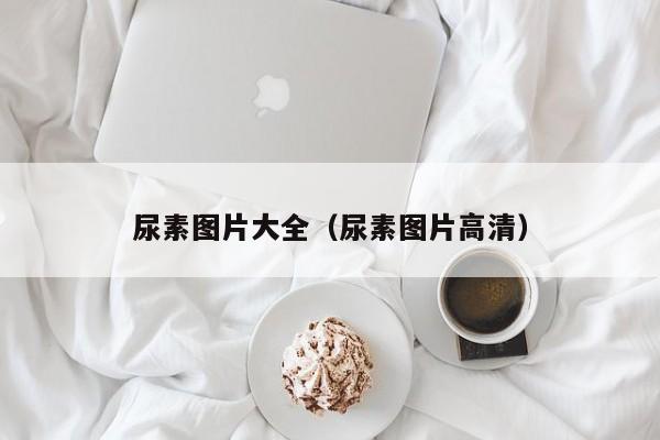 尿素图片大全（尿素图片高清）