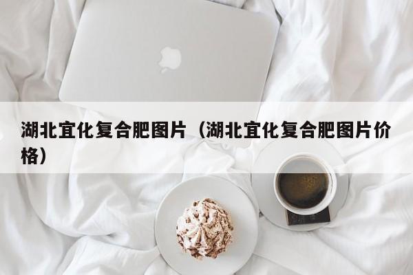 湖北宜化复合肥图片（湖北宜化复合肥图片价格）