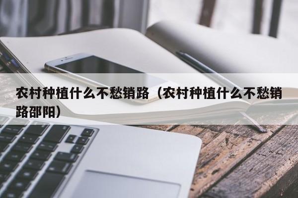 农村种植什么不愁销路（农村种植什么不愁销路邵阳）