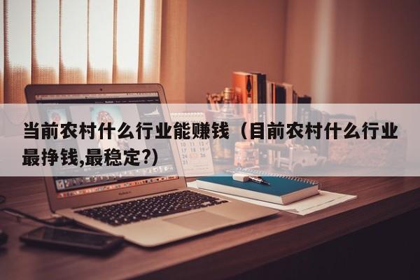 当前农村什么行业能赚钱（目前农村什么行业最挣钱,最稳定?）