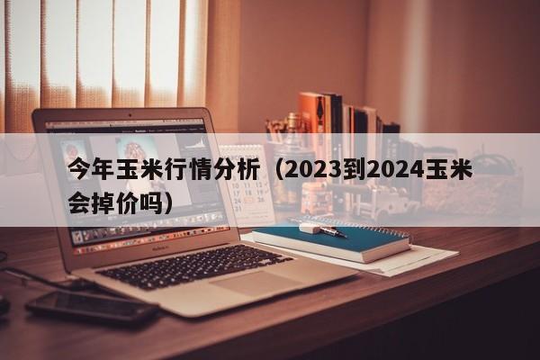 今年玉米行情分析（2023到2024玉米会掉价吗）