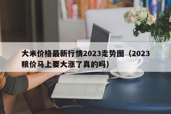 大米价格最新行情2023走势图（2023粮价马上要大涨了真的吗）