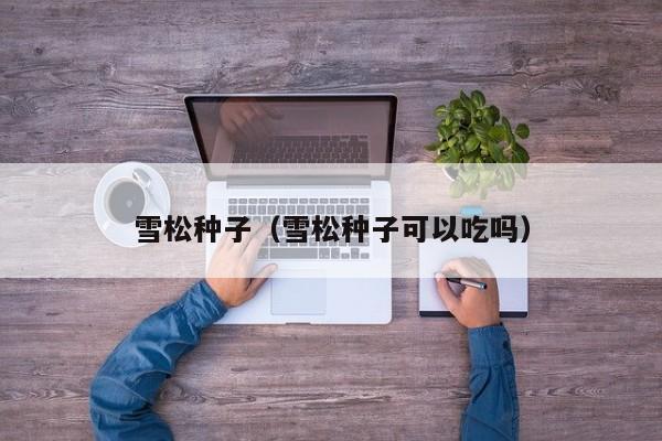 雪松种子（雪松种子可以吃吗）