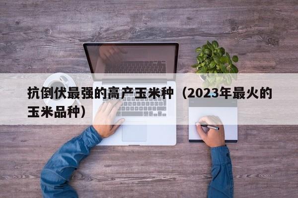 抗倒伏最强的高产玉米种（2023年最火的玉米品种）