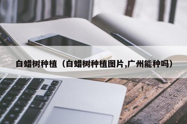 白蜡树种植（白蜡树种植图片,广州能种吗）