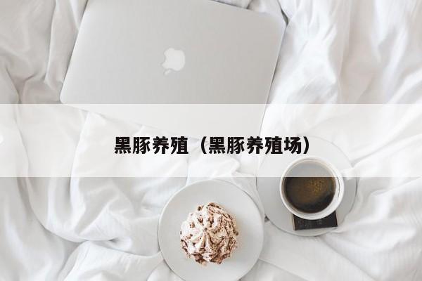 黑豚养殖（黑豚养殖场）