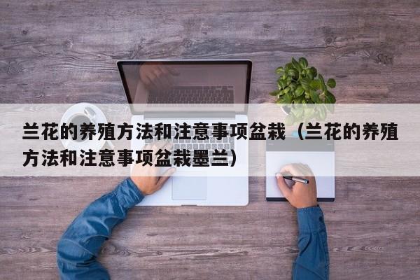 兰花的养殖方法和注意事项盆栽（兰花的养殖方法和注意事项盆栽墨兰）
