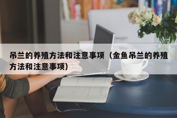 吊兰的养殖方法和注意事项（金鱼吊兰的养殖方法和注意事项）