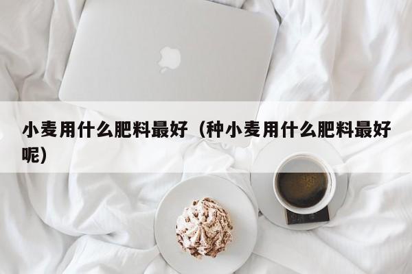 小麦用什么肥料最好（种小麦用什么肥料最好呢）