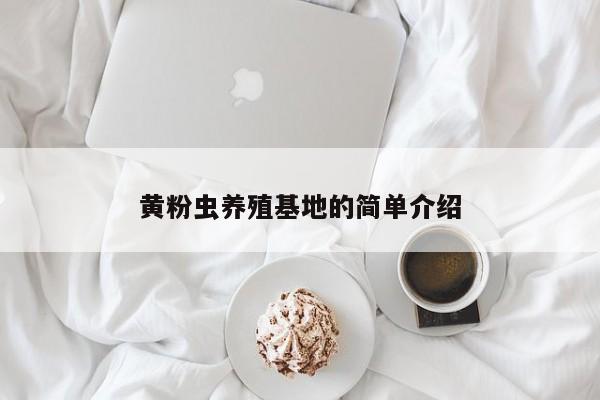 黄粉虫养殖基地的简单介绍