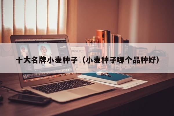 十大名牌小麦种子（小麦种子哪个品种好）