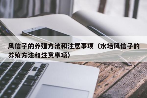 风信子的养殖方法和注意事项（水培风信子的养殖方法和注意事项）