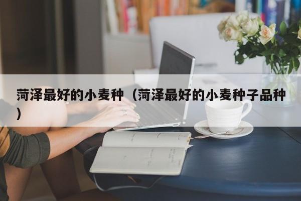 菏泽最好的小麦种（菏泽最好的小麦种子品种）